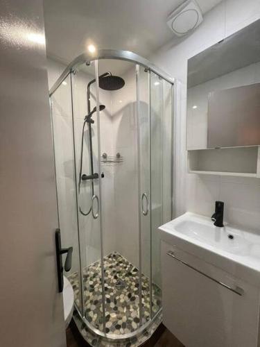 a shower with a glass door next to a sink at Petit studio vue lac / La Talloirdaze in Talloires