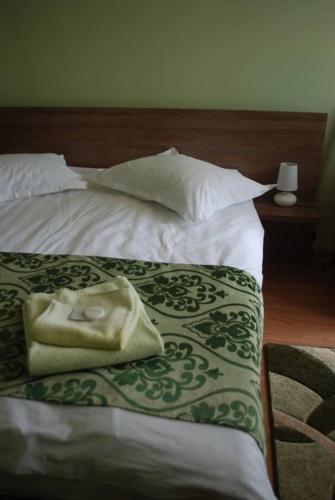 a bed with a green and white blanket and pillows at Curtea Brancovenească in Constanţa