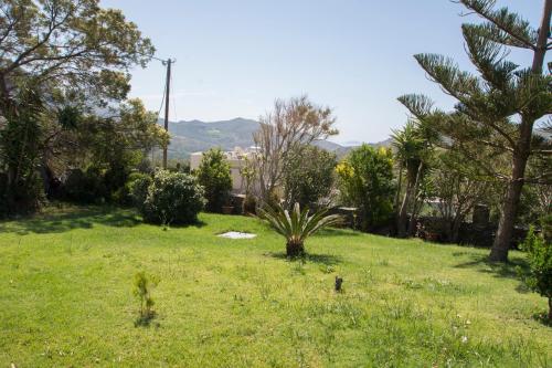 a green yard with trees and a field of grass at Villa Erofili Plakias south Rethimno Crete in Asómatoi