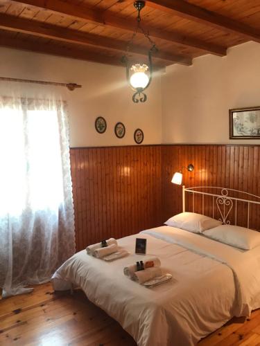 Gallery image of 9mouses Chasiotis Guest House in Ampelakia