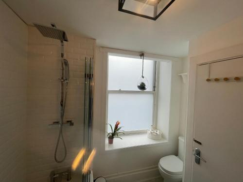 a bathroom with a shower and a toilet and a window at Alpine Apartments - 2 in Blairgowrie