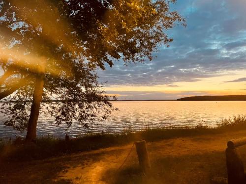 a sunset over a body of water with a tree at Zum Waldblick in Funfseen