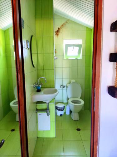 a green bathroom with a toilet and a sink at ART STUDIO capitain in Sinemorets