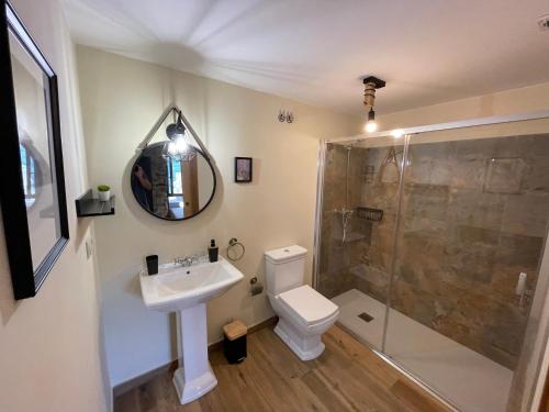 a bathroom with a toilet and a sink and a shower at Ecolagar O Barqueiro in Pantón