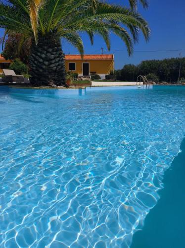 a pool with a palm tree and a house in the background at Quinta Cunte - Casa Girassol in São Luis