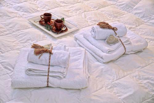two towels and a plate on a bed with a tray with a plate at Luxury Apt Dolomites 2 in Pinzolo