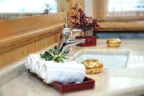 a bathroom sink with a faucet and a plant at Luxury Apt Dolomites 2 in Pinzolo