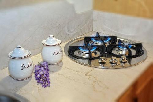 a kitchen counter with a stove and a sink at Luxury Apt Dolomites 2 in Pinzolo