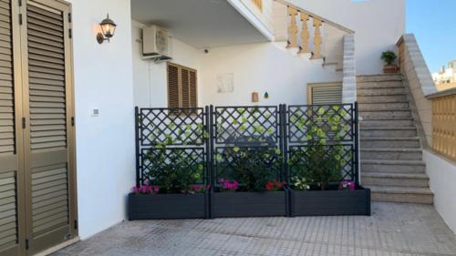 Balkón nebo terasa v ubytování B&B Casa di Nonna Checca