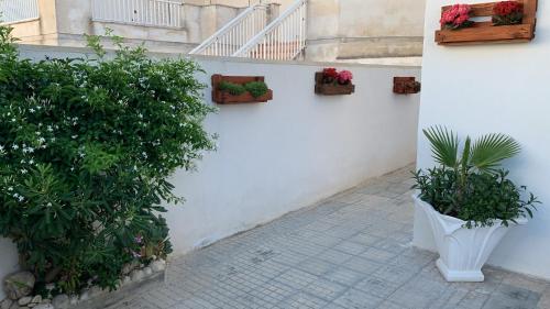 Fotografie z fotogalerie ubytování B&B Casa di Nonna Checca v destinaci Leuca