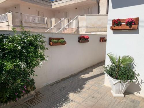 Balkón nebo terasa v ubytování B&B Casa di Nonna Checca