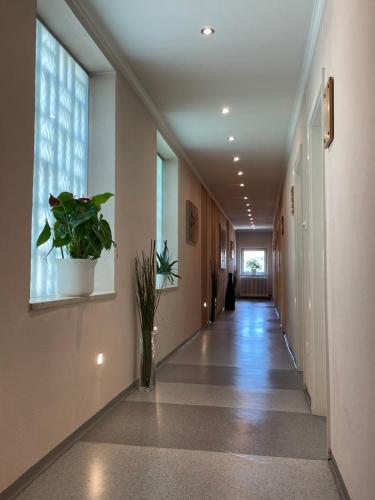an empty hallway with a plant in a building at Gasthof Wösner in Münzkirchen