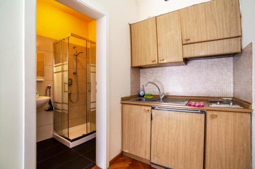 メラーノにあるResidence Hubertus Apartment 2のキッチン(木製キャビネット、シンク、シャワー付)