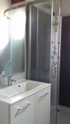 uma casa de banho com um lavatório branco e um chuveiro em Les gîtes de la Planette - gîte 2 em Saint-Amans-Valtoret