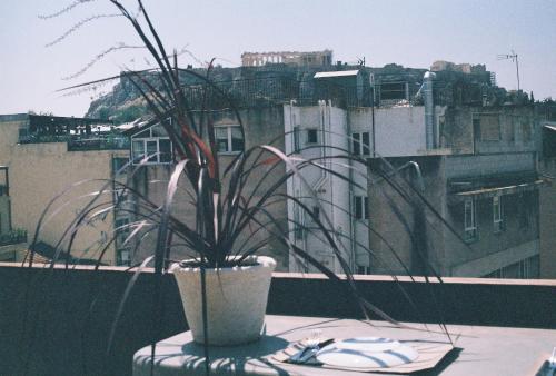 a potted plant sitting on a table on a balcony at Mona Athens in Athens