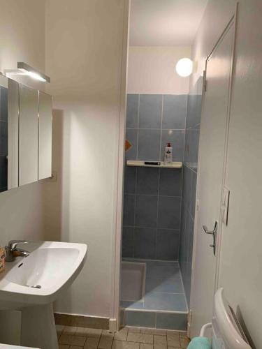 une salle de bain avec douche et lavabo dans l'établissement Aubenas plein centre tout près du château, à Aubenas