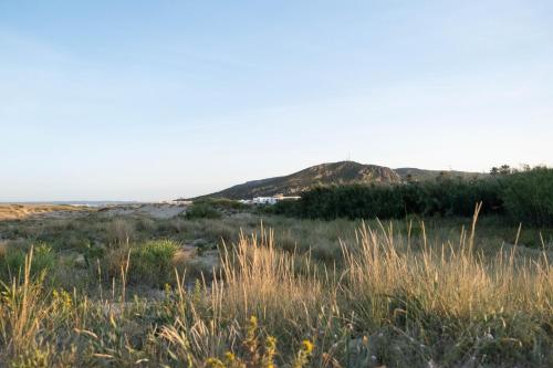 a field of grass with a mountain in the background at El Cortijo de Zahara by QHotels in Zahara de los Atunes