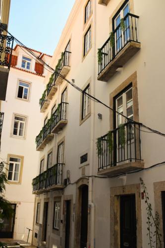 Apartamentos Colmeia