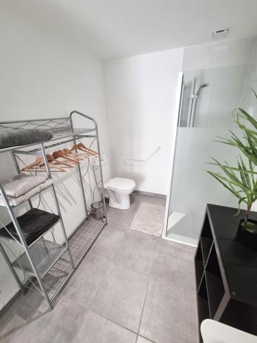 une salle de bain avec douche et toilettes dans une chambre dans l'établissement Logement chaleureux 2 personnes, à Saint-Gaudens