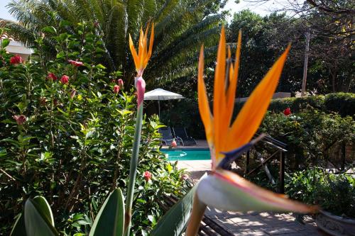 Taman di luar Constantia Manor Guest House