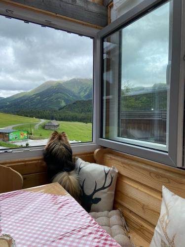 a dog laying on a pillow looking out of a window at Feriendorf Tauerngast in Hohentauern