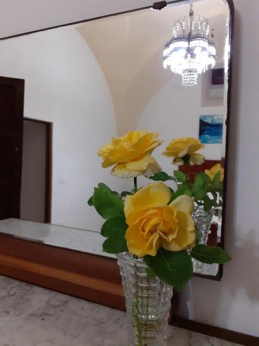 Φωτογραφία από το άλμπουμ του B&B A casa di Paolo σε Alessano