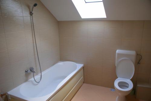 a bathroom with a tub and a toilet and a shower at Casa Ardeleneasca in Timişoara