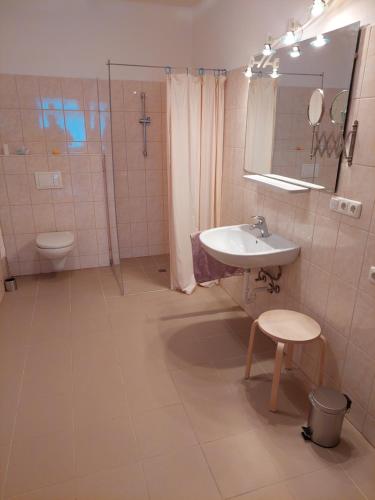 uma casa de banho com um lavatório, um chuveiro e um WC. em JOHN’S MOTEL APPARTEMENTHAUS em Attnang-Puchheim