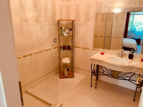 a bathroom with a sink and a mirror at Casa Central Luxury in Oradea