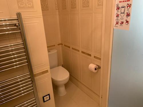 a small bathroom with a toilet in a room at Casa Central Luxury in Oradea
