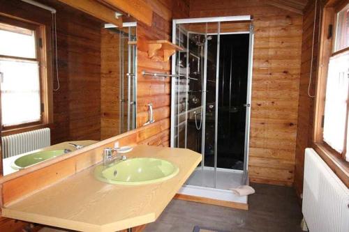 a bathroom with a green sink and a shower at Ferienpark Lauterdörfle 9 in Hayingen