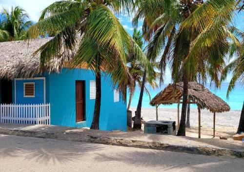 a blue house on the beach with palm trees at La Casita de Mary in Santa Cruz de Barahona