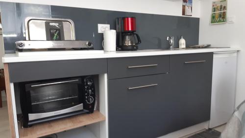 une cuisine avec un comptoir avec un micro-ondes dessus dans l'établissement Ravissant studio dans un cadre agréable, à Soultz-Haut-Rhin