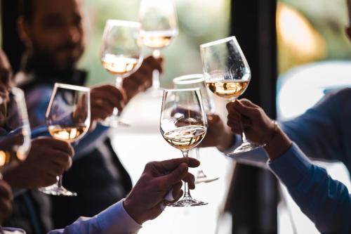 a group of people holding up wine glasses at Novotel Toulouse Centre Wilson in Toulouse