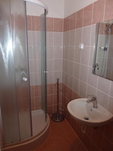 a bathroom with a shower and a sink at Apartmany U Ády in Železná Ruda