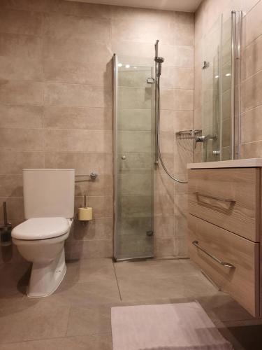 a bathroom with a toilet and a glass shower at Haus Bergblick in Spiss