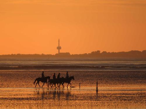 três pessoas andando a cavalo na praia ao pôr do sol em Residenz Nordfeldstraße em Cuxhaven