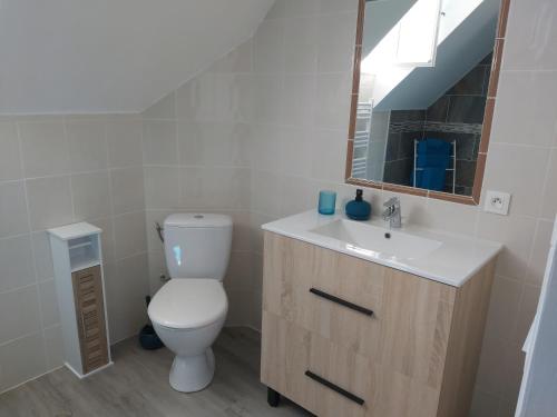 a bathroom with a toilet and a sink and a mirror at le bonheur des plumes in Montmartin-en-Graignes