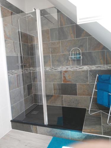 a shower with a glass door in a bathroom at le bonheur des plumes in Montmartin-en-Graignes