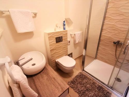 a bathroom with a toilet and a shower at Apartment Tatiana in Dubrovnik