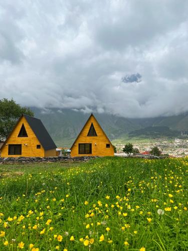 two wooden huts in a field of flowers at Pine Chalet Kazbegi in Stepantsminda