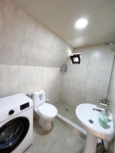 a bathroom with a washing machine next to a toilet and a sink at Pine Chalet Kazbegi in Stepantsminda