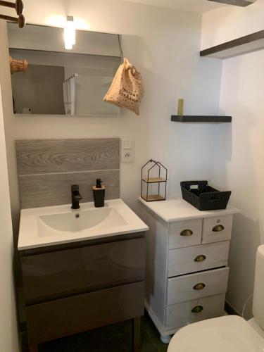 a bathroom with a sink and a mirror at Studio de Nini in Rousson