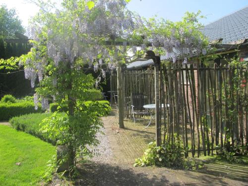 a garden with a fence and a tree with purple flowers at Roing B&B in Hijken