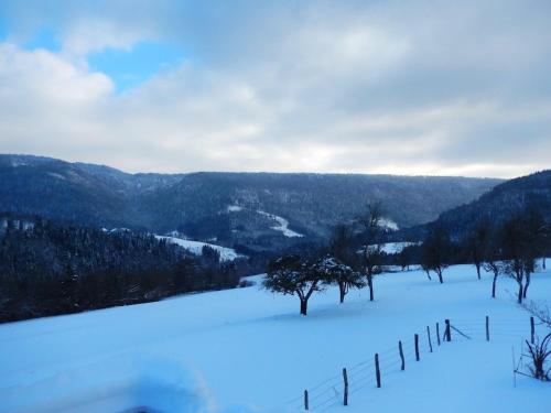 a snow covered field with trees and a fence at Maison chaleureuse à Vaucluse avec jardin spacieux 84 m² in Vaucluse