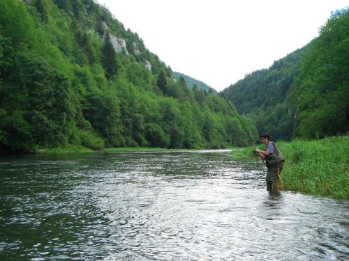 a man is standing in a river while fishing at Maison chaleureuse à Vaucluse avec jardin spacieux 84 m² in Vaucluse