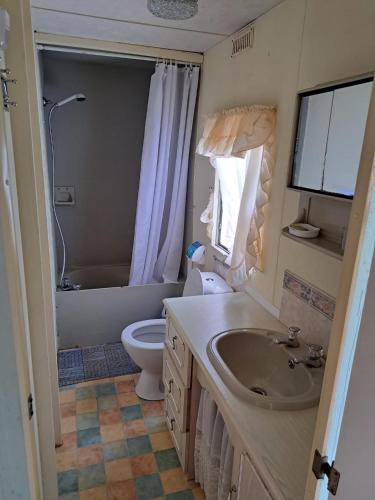 a bathroom with a sink and a toilet and a shower at Mobilūs nameliai 'Zelma' in Palanga