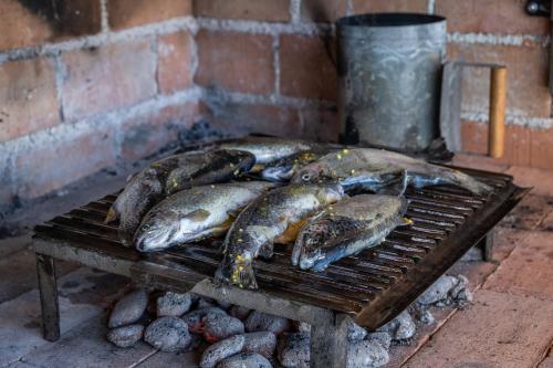 a bunch of fish cooking on a grill at Villa Nesa - beautiful guest house at continental Croatia with Outdoor swimming pool, Sauna and 3 Bedrooms in Plaški