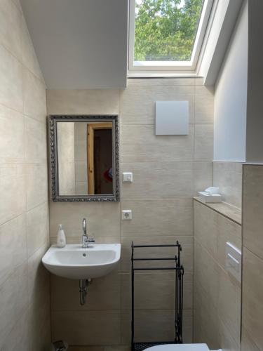 ein Bad mit einem Waschbecken, einem Spiegel und einem Fenster in der Unterkunft Ferienwohnung-Ferienhaus am Picho in Arnsdorf