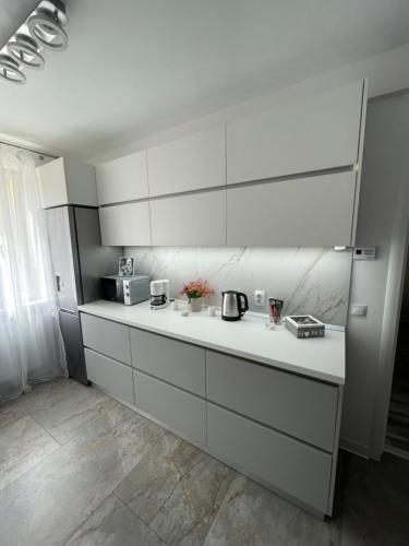 Cuina o zona de cuina de Luxury Apartment
